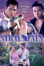 Watch Stray Cats Zmovie