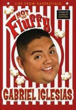 Watch Gabriel Iglesias: Hot and Fluffy Zmovie