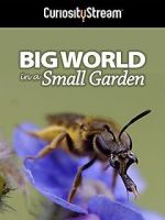 Watch Big World in a Small Garden (TV Short 2016) Zmovie