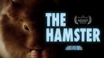 Watch The Hamster Zmovie