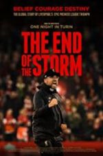 Watch The End of the Storm Zmovie