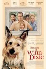 Watch Because of Winn-Dixie Zmovie