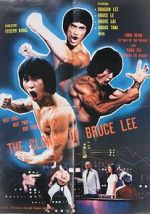 Watch The Clones of Bruce Lee Zmovie