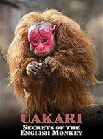 Watch Uakari: Secrets of the English Monkey Zmovie