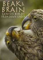 Watch Beak & Brain - Genius Birds from Down Under Zmovie