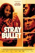 Watch Stray Bullet Zmovie