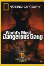 Watch National Geographic World's Most Dangerous Gang Zmovie