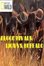 Watch National Geographic - Blood Rivals: Lion vs. Buffalo Zmovie