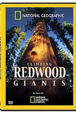 Watch National Geographic Explorer: Climbing Redwood Giants Zmovie