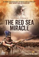 Watch Patterns of Evidence: The Red Sea Miracle Zmovie