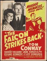 Watch The Falcon Strikes Back Zmovie