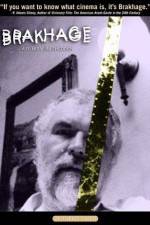 Watch Brakhage Zmovie