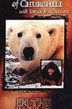 Watch The Polar Bears of Churchill with Ewan McGregor Zmovie
