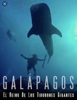 Watch Galapagos: Realm of Giant Sharks Zmovie