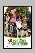 Watch 12 Dog Days of Christmas Zmovie