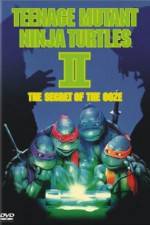 Watch Teenage Mutant Ninja Turtles II: The Secret of the Ooze Zmovie