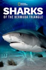 Watch Sharks of the Bermuda Triangle (TV Special 2020) Zmovie