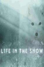 Watch Life in the Snow Zmovie