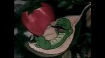 Watch The Wacky Worm (Short 1941) Zmovie