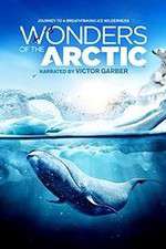 Watch Wonders of the Arctic 3D Zmovie