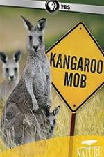 Watch Kangaroo Mob Zmovie