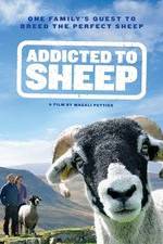 Watch Addicted to Sheep Zmovie