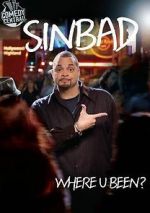 Watch Sinbad: Where U Been? Zmovie