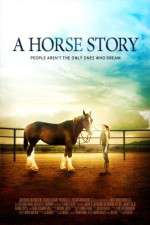 Watch A Horse Story Zmovie