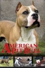 Watch American Pit Bull Zmovie