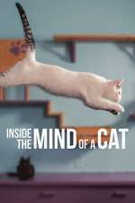 Watch Inside the Mind of a Cat Zmovie