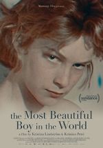Watch The Most Beautiful Boy in the World Zmovie