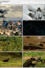 Watch National Geographic: Japans Hidden Secrets Zmovie