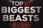 Watch Top 10 Biggest Beasts Ever Zmovie