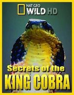 Watch Secrets of the King Cobra Zmovie