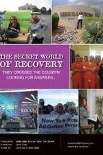 Watch The Secret World of Recovery Zmovie