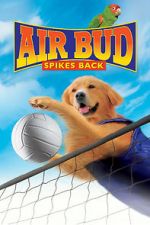 Watch Air Bud: Spikes Back Zmovie