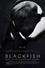 Watch Blackfish Zmovie