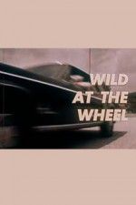 Watch Wild at the Wheel Zmovie