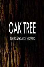 Watch Oak Tree Natures Greatest Survivor Zmovie