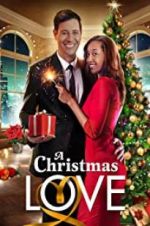 Watch A Christmas Love Zmovie