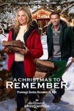 Watch A Christmas to Remember Zmovie