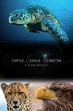 Watch Turtle, Eagle, Cheetah: A Slow Odyssey Zmovie