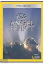 Watch National Geographic Explorer - The Angel Effect Zmovie