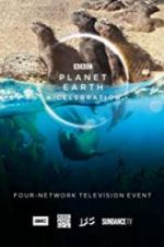 Watch Planet Earth: A Celebration Zmovie