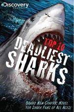 Watch National Geographic Worlds Deadliest Sharks Zmovie