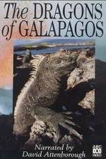 Watch The Dragons of Galapagos Zmovie