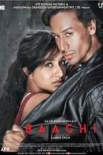 Watch Baaghi Zmovie