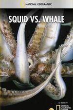 Watch National Geographic Wild - Squid Vs Whale Zmovie