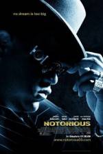 Watch Notorious (2009) Zmovie