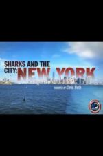 Watch Sharks and the City: New York Zmovie